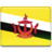 Brunei Flag Icon